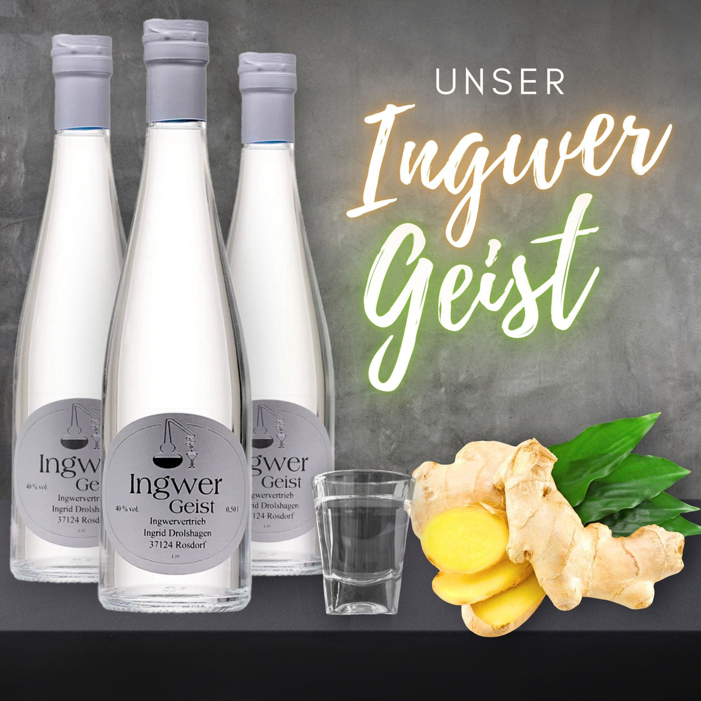 Ingwer Geist
